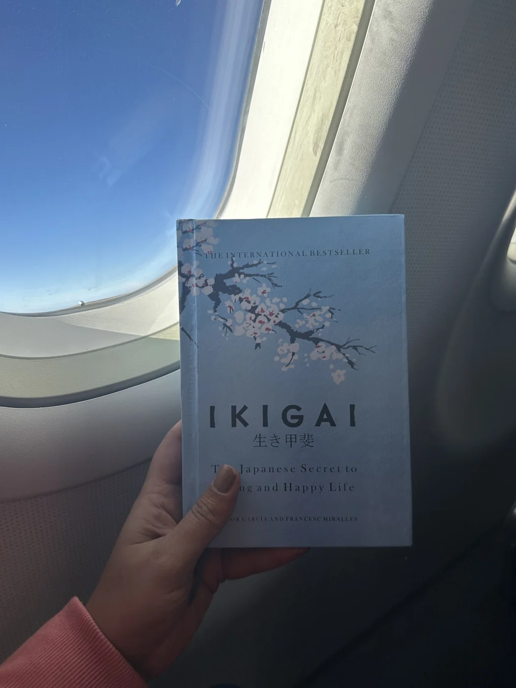 A copy of Ikigai held beside an aeroplane window