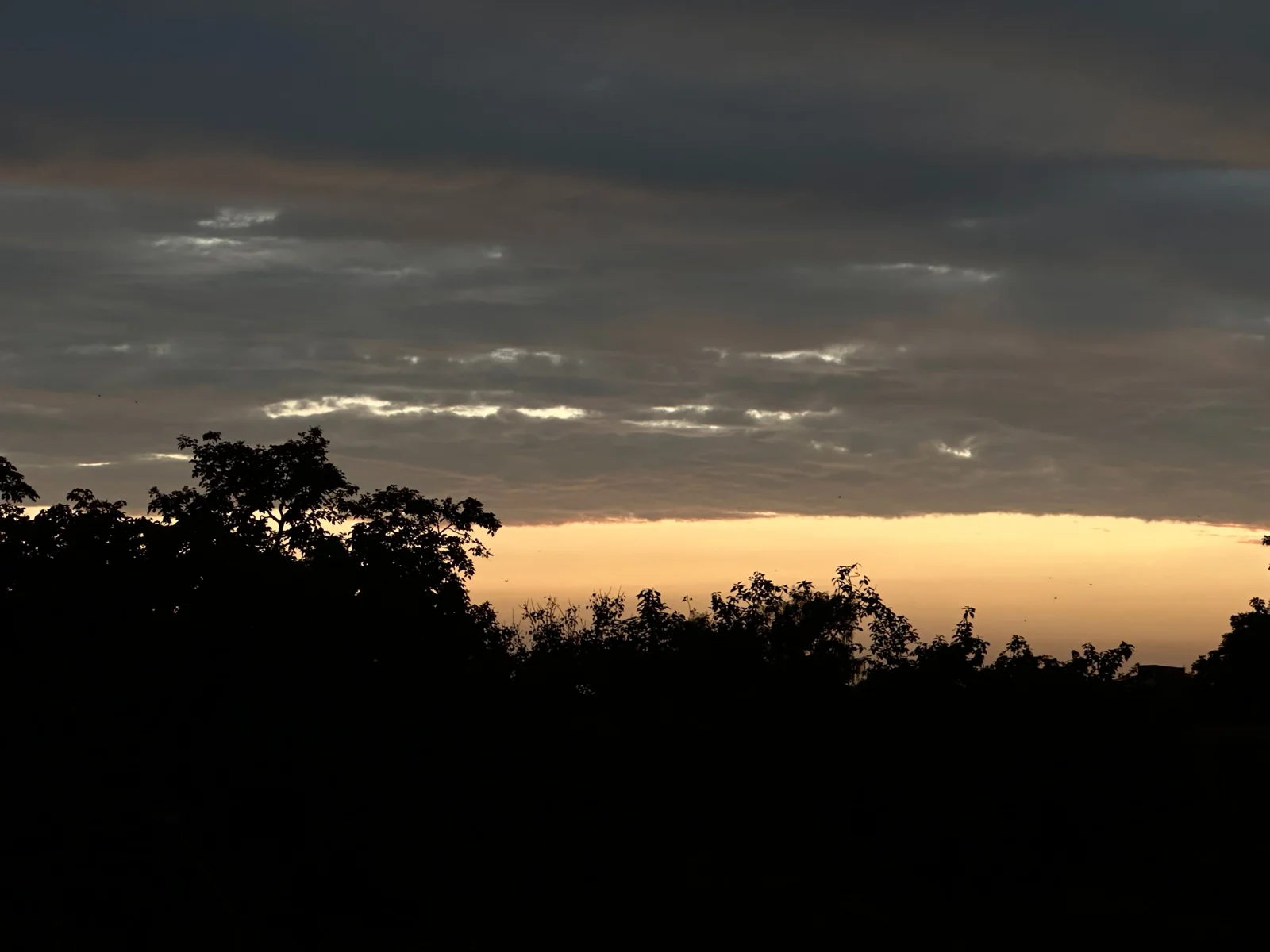 Golden evening light under clouds above silhouetted trees